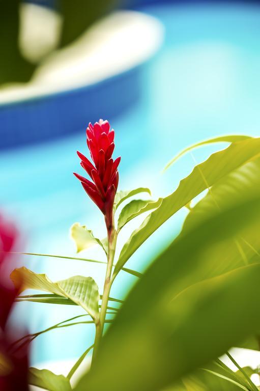 Hotel Villa Di Rimini Ubatuba Zewnętrze zdjęcie